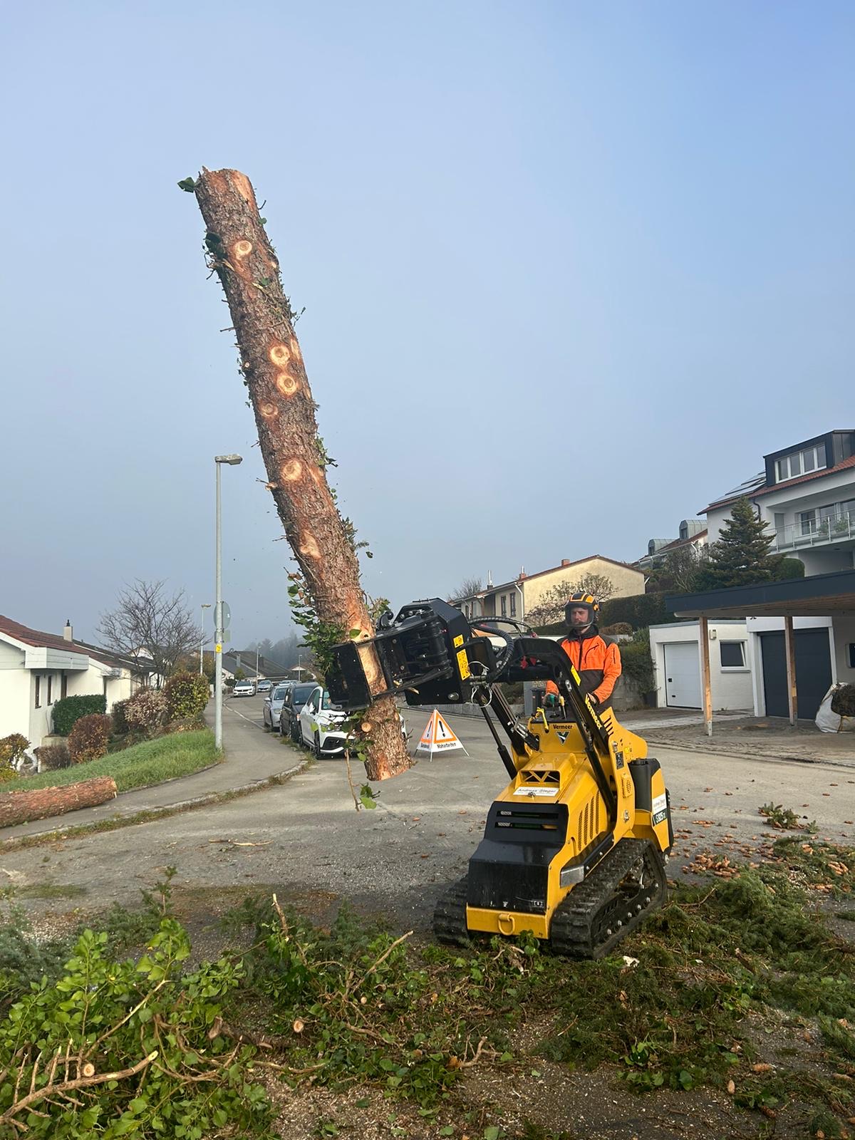 Baumfällung an der Straße