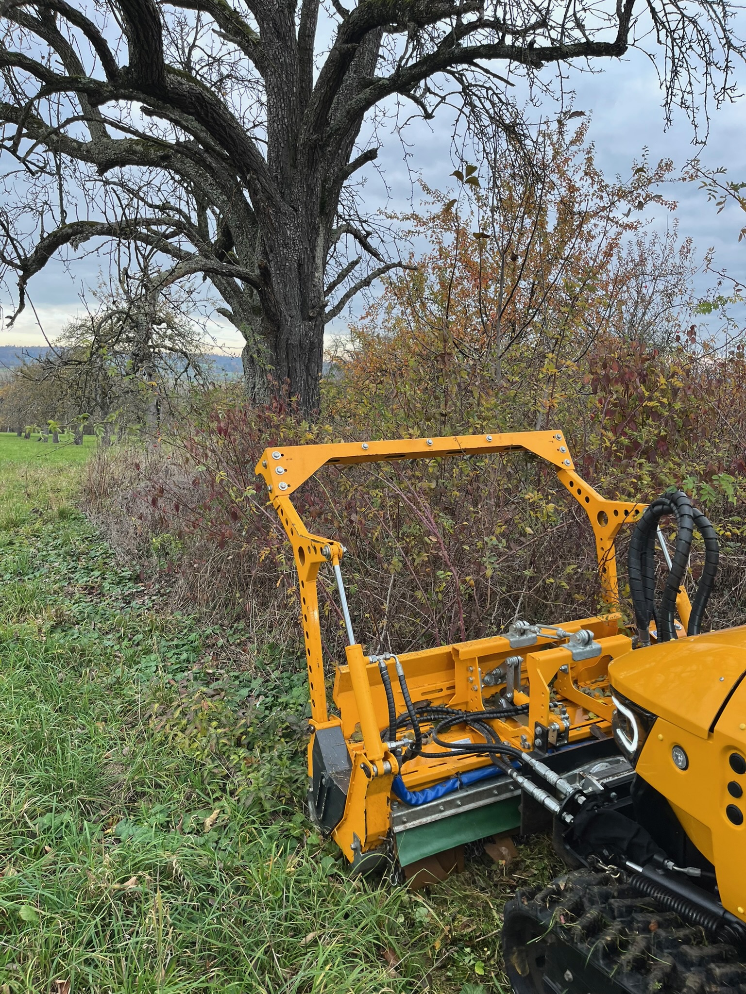Funkferngesteuerte Mulchraupe im Einsatz