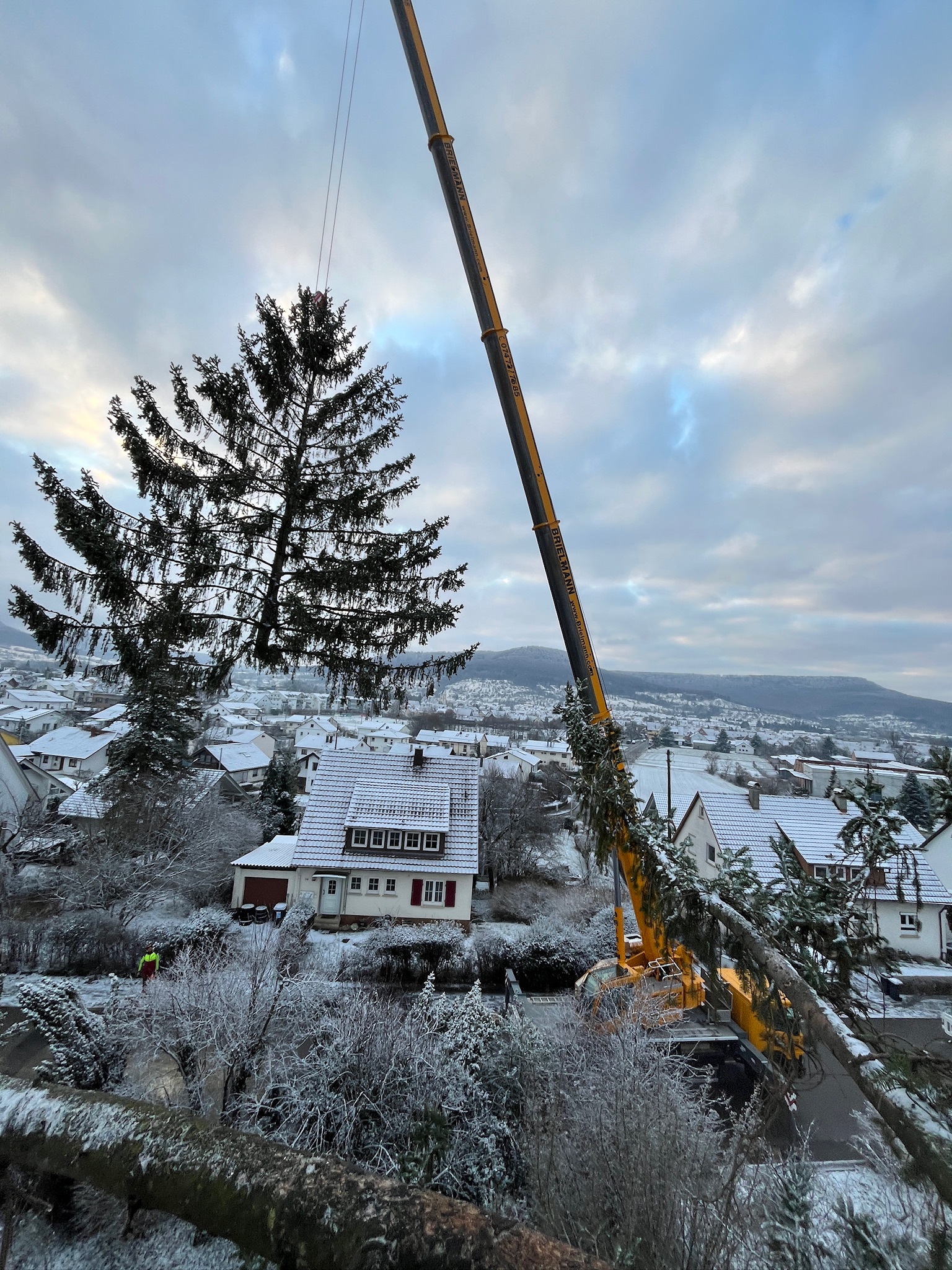 Kranfällung mit Blick über den Ort