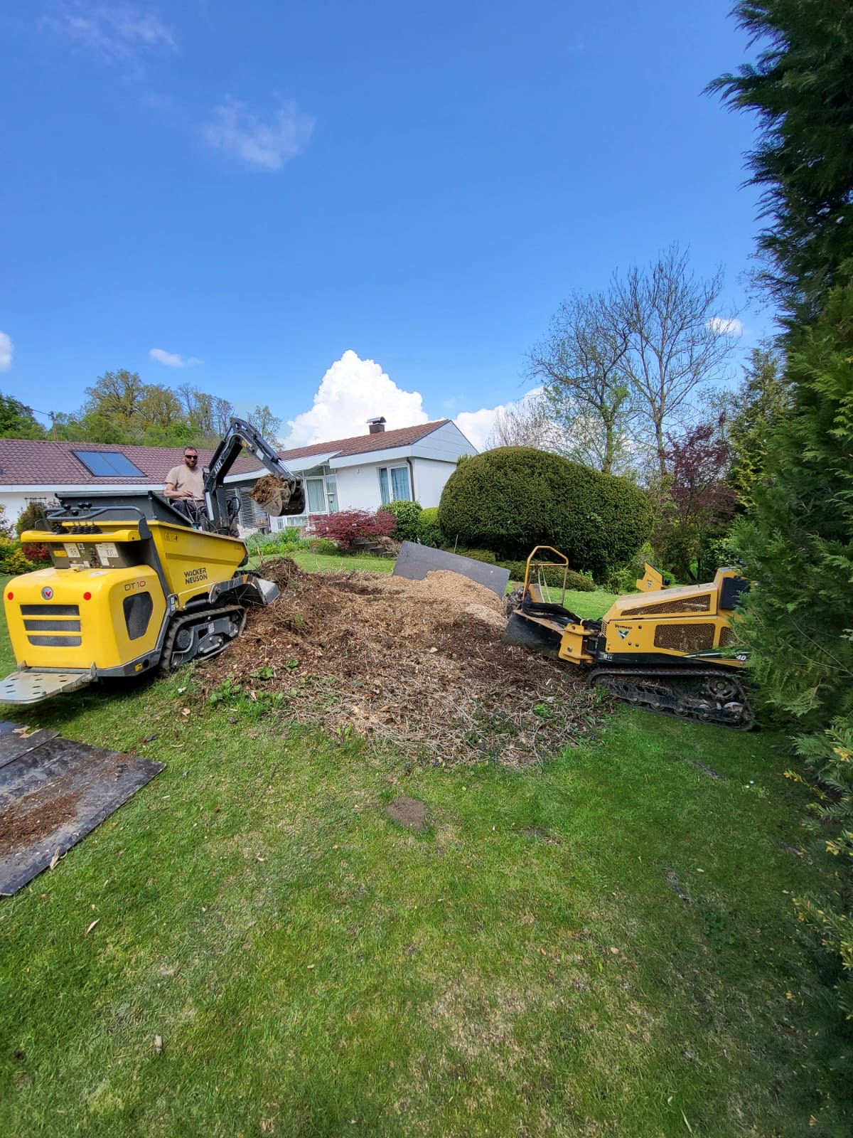 Wurzelstockentfernung im Garten