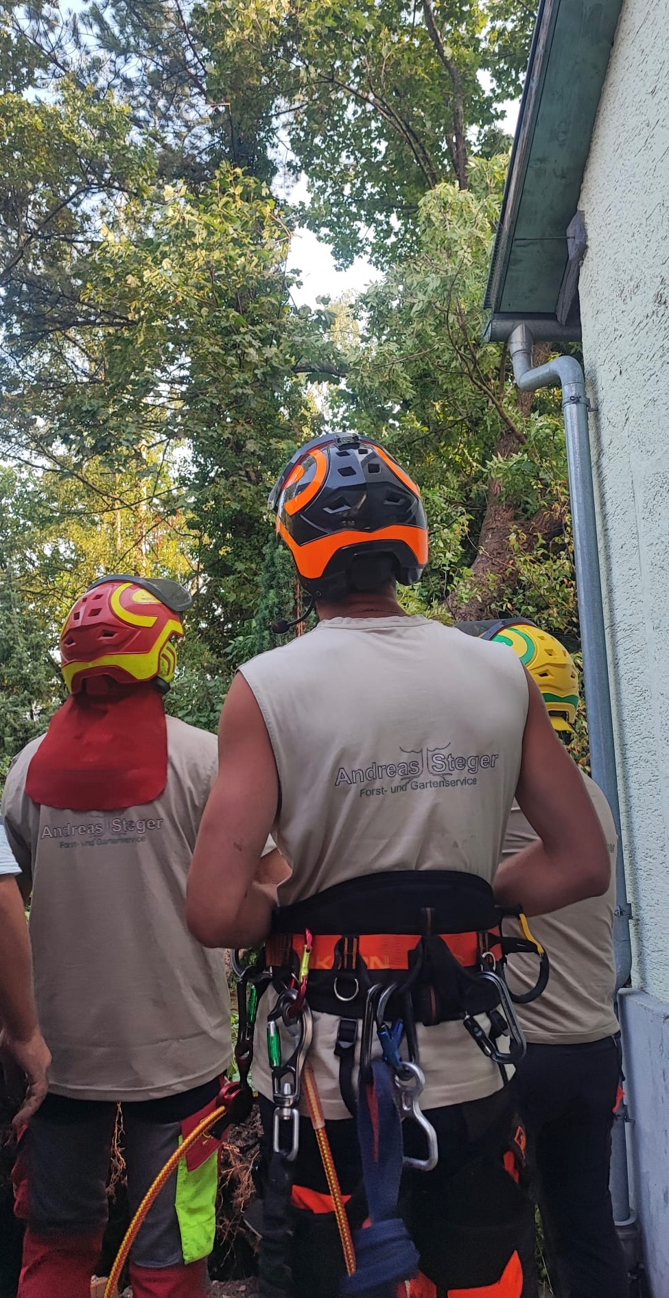 Das Team von Steger bei der Arbeit