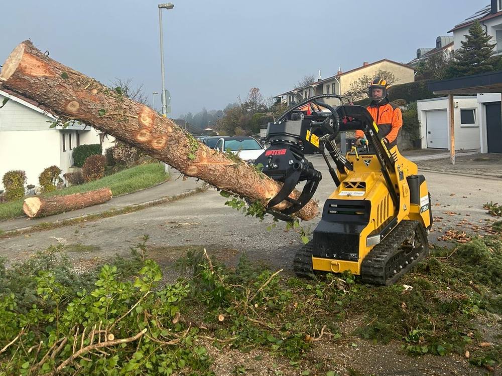 Kompaktlader mit Greifer beim Abtransport eines Stamms