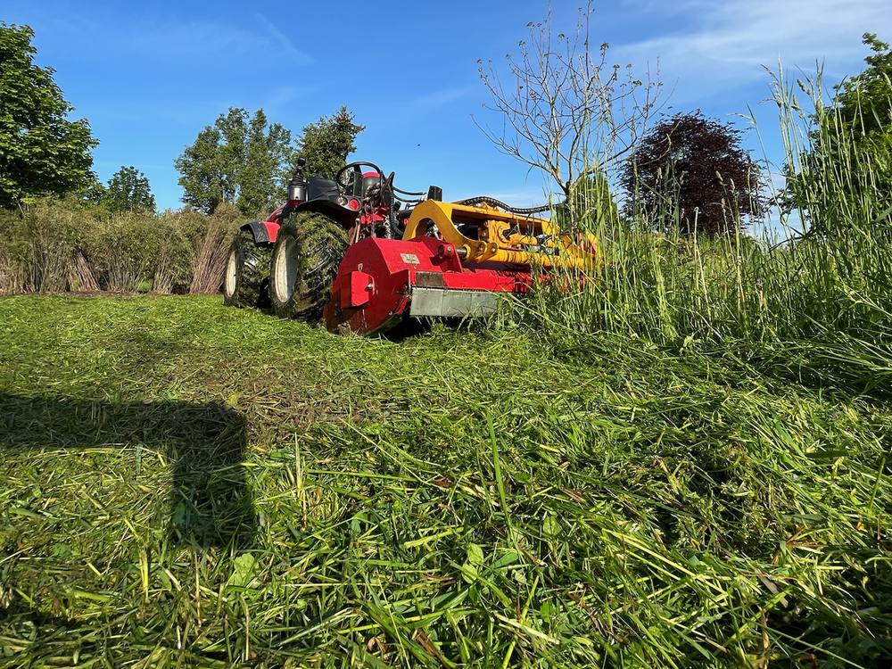 Mulcharbeiten auf einer verwilderten Wiese