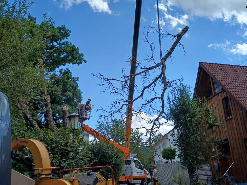 Baumarbeiten mit Hubsteiger und Häcksler