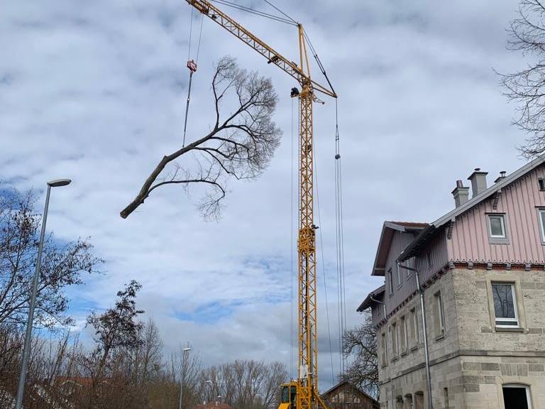 Kranfällung an der Ortsdurchfahrt