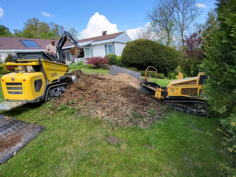 Wurzelstockentfernung im Garten